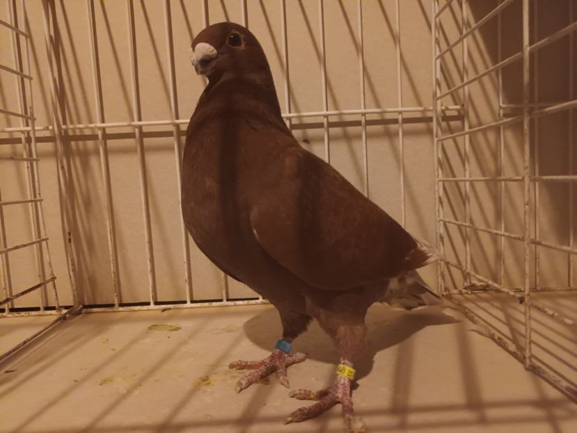  - M _ Antwerpen 2024