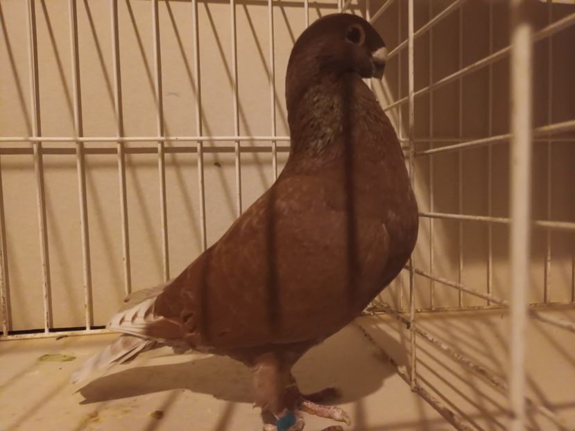  - M _ Antwerpen 2024