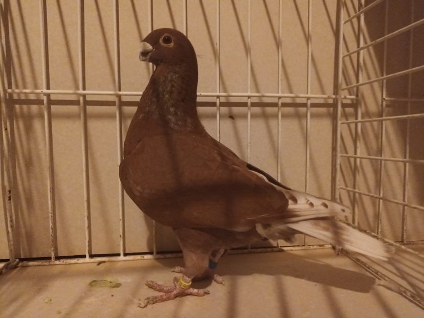  - M _ Antwerpen 2024