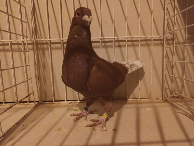  - M _ Antwerpen 2024