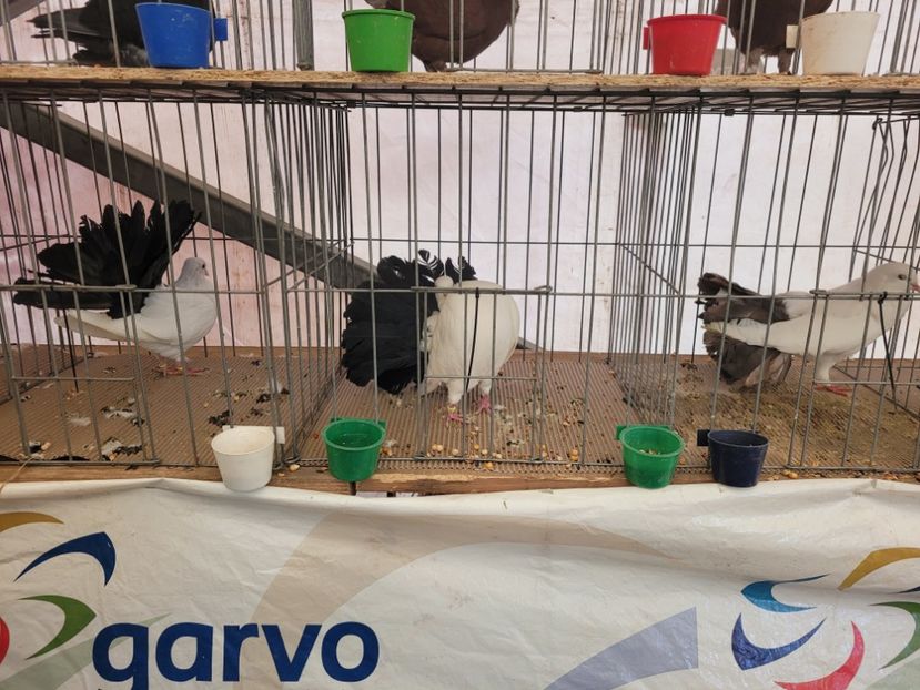  - 0- INDAGRA 2023 oct 27