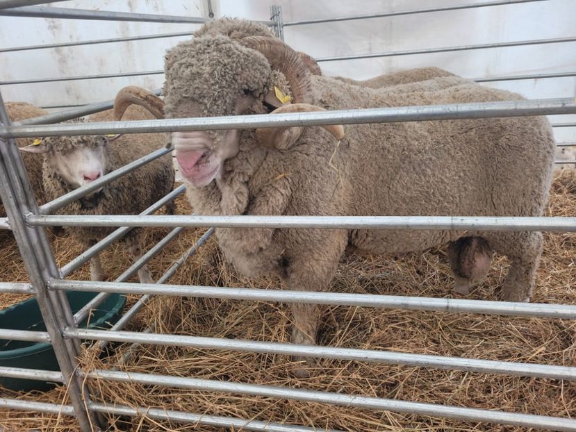  - 0- INDAGRA 2023 oct 27