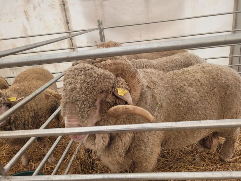  - 0- INDAGRA 2023 oct 27