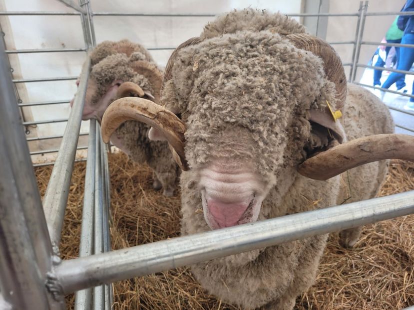  - 0- INDAGRA 2023 oct 27