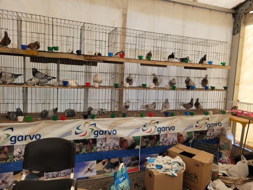  - 0- INDAGRA 2023 oct 27