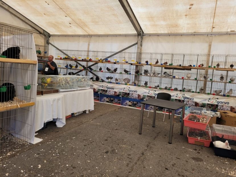  - 0- INDAGRA 2023 oct 27