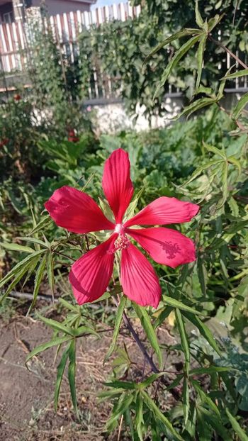 received_878930570421554 - Noiembrie 2023