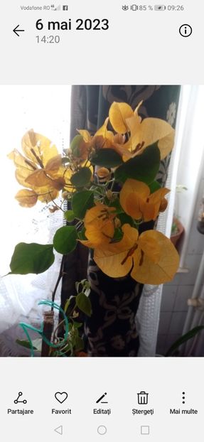 Screenshot_20230908_092654_com.android.gallery3d - provizoriu