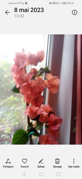 Screenshot_20230908_092614_com.android.gallery3d - provizoriu