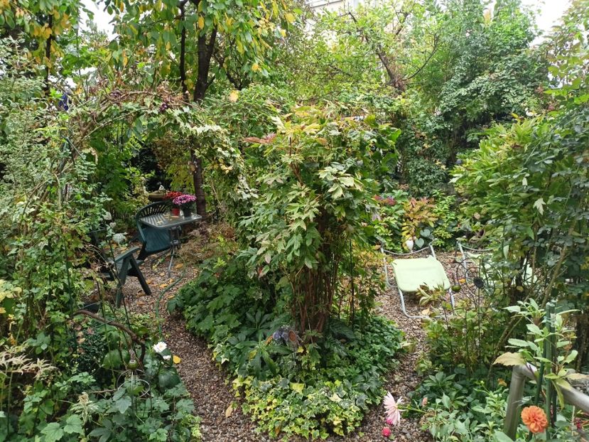 25.10.2023 - Grădina 2023 continuare 5