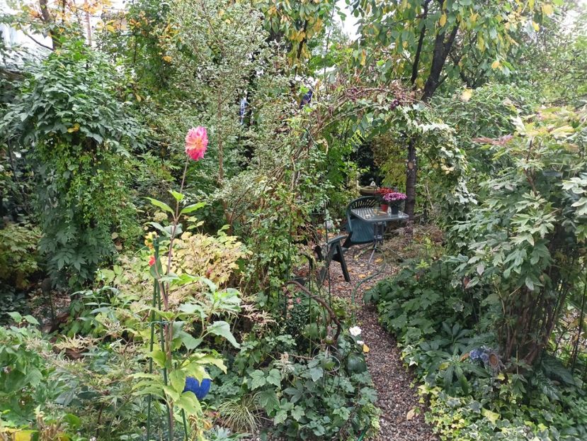  - Grădina 2023 continuare 5