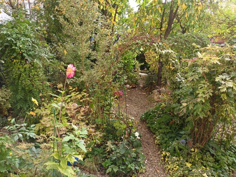  - Grădina 2023 continuare 5