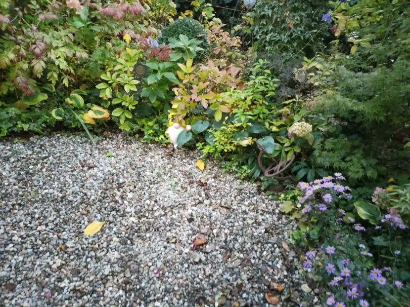  - Grădina 2023 continuare 5