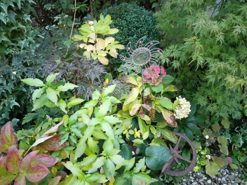  - Grădina 2023 continuare 5