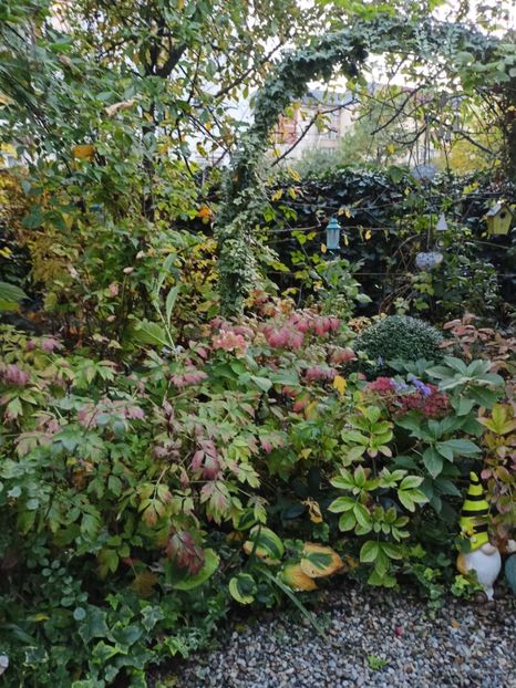  - Grădina 2023 continuare 5