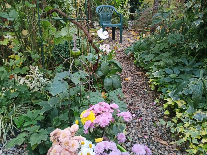  - Grădina 2023 continuare 5