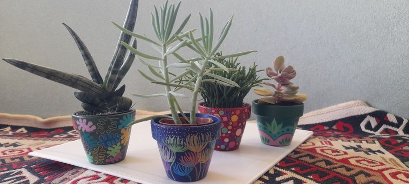  - GHIVECE PICTATE De VÂNZARE