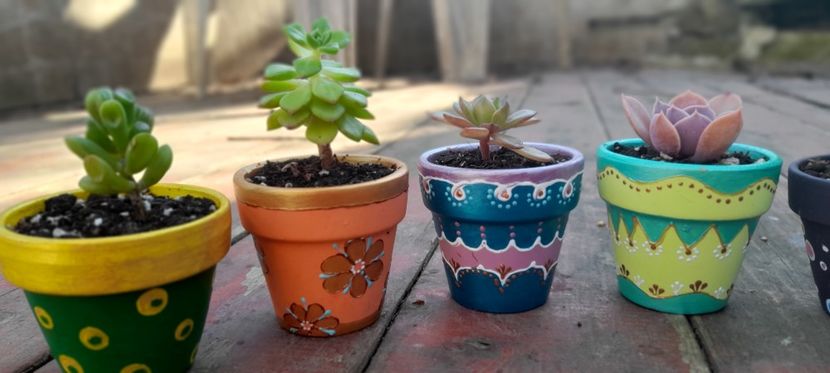  - GHIVECE PICTATE De VÂNZARE