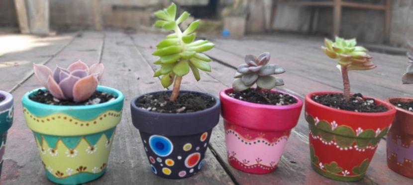  - GHIVECE PICTATE De VÂNZARE