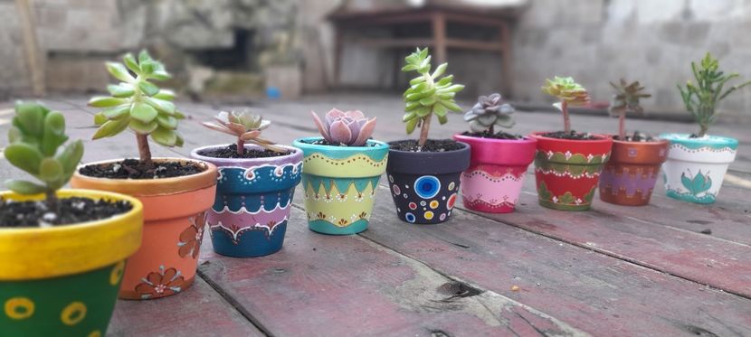  - GHIVECE PICTATE De VÂNZARE