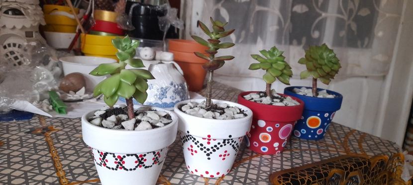  - GHIVECE PICTATE De VÂNZARE