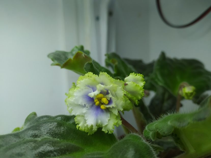 01.11.2023 - RM Illyria