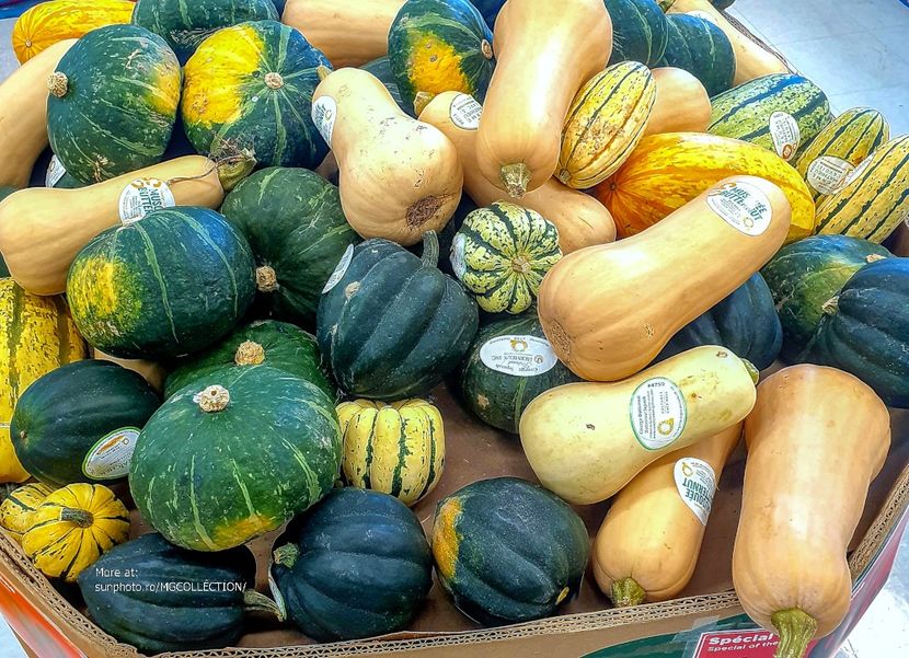 Dovleac - Courge - Squash - VEGS - Legume