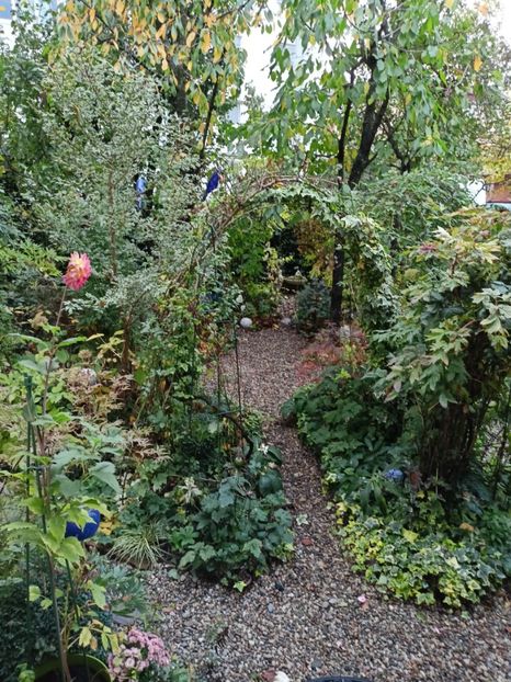 01.11.20223 - Grădina 2023 continuare 5