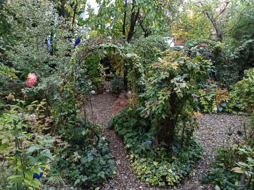  - Grădina 2023 continuare 5