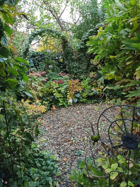  - Grădina 2023 continuare 5