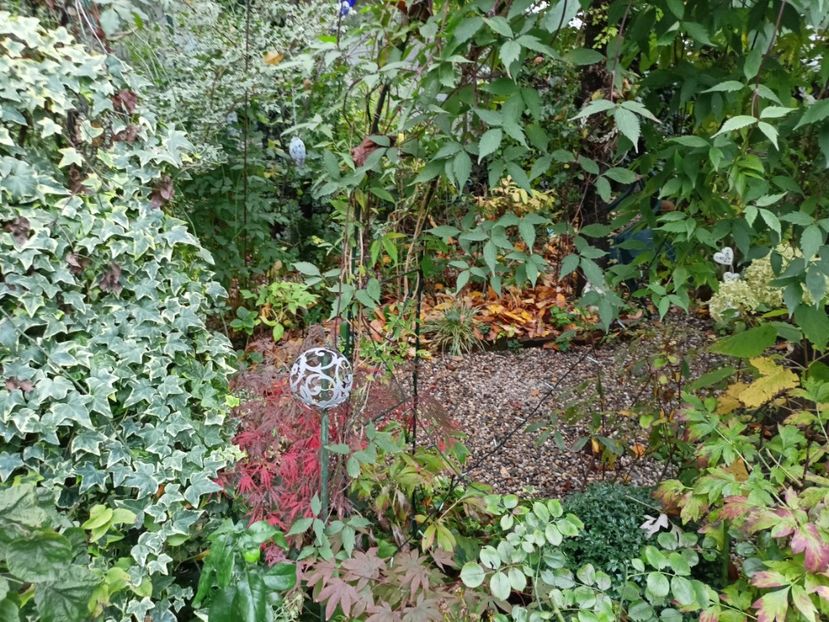  - Grădina 2023 continuare 5