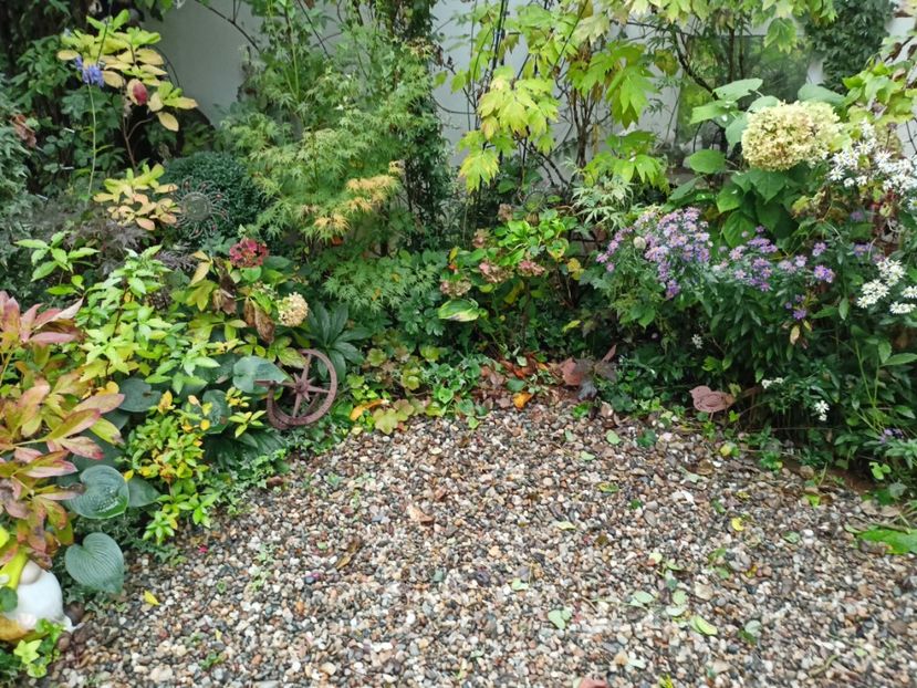  - Grădina 2023 continuare 5