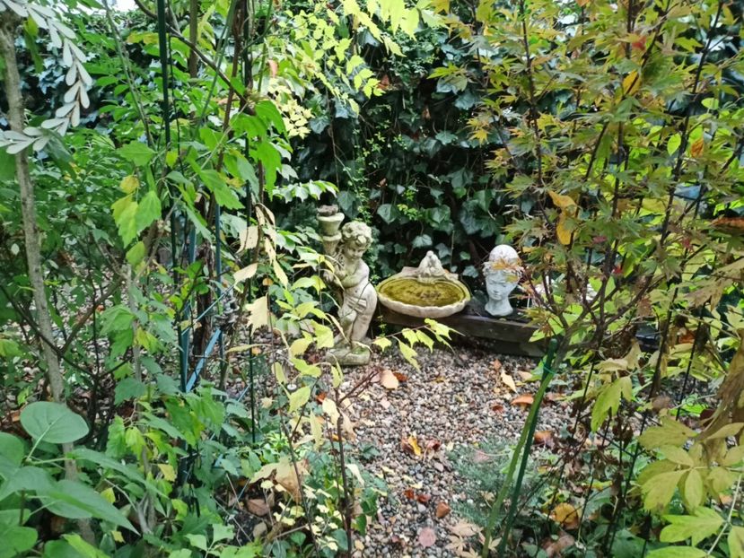  - Grădina 2023 continuare 5