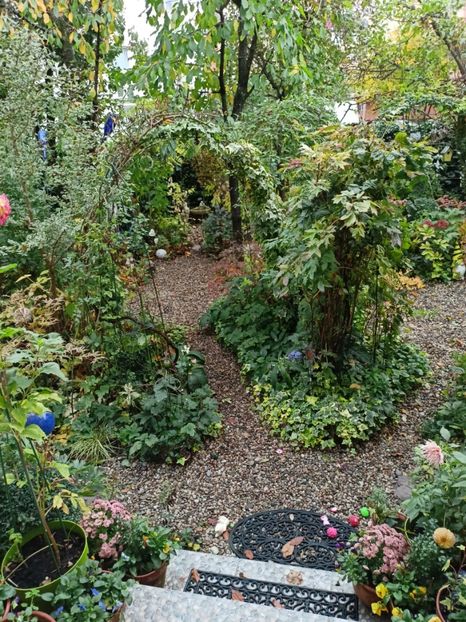  - Grădina 2023 continuare 5