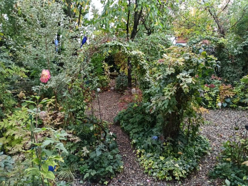  - Grădina 2023 continuare 5