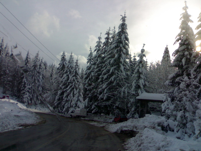  - Peisaje de iarna 2009 - 2010