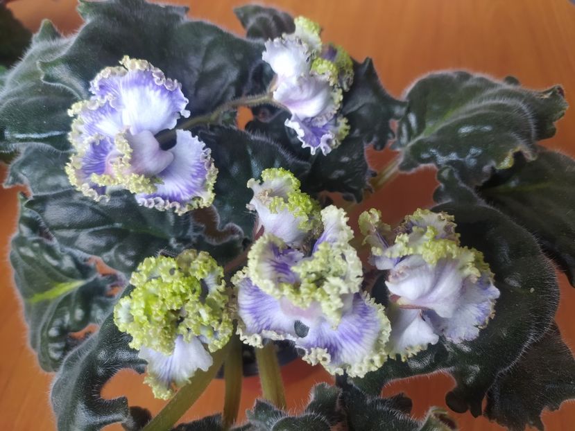 2 noiembrie 2023 - RM Lukomorye