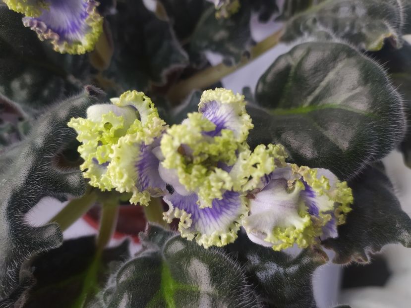 2 noiembrie 2023 - RM Lukomorye