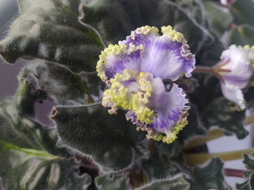 2 noiembrie 2023 - RM Lukomorye