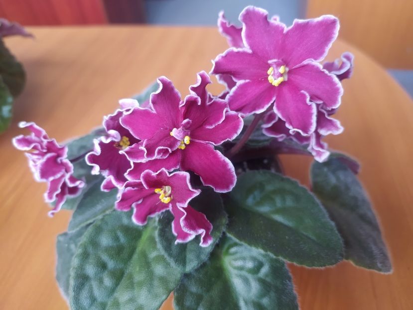 2 noiembrie 2023 - Arcturus