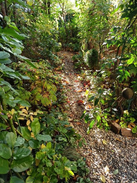  - Grădina 2023 continuare 5