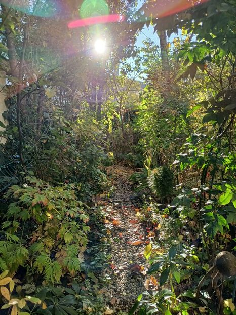  - Grădina 2023 continuare 5