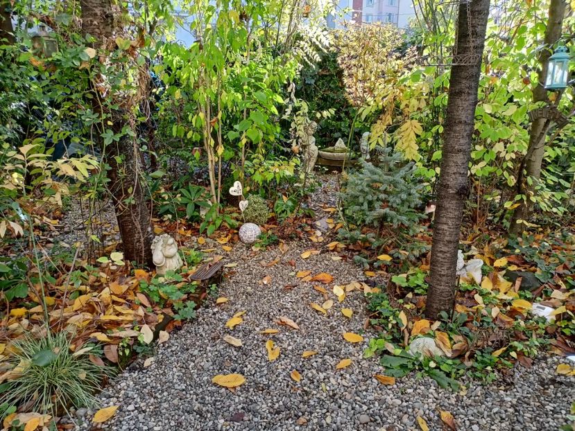  - Grădina 2023 continuare 5