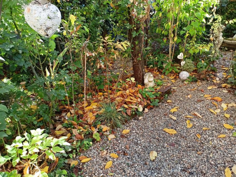  - Grădina 2023 continuare 5