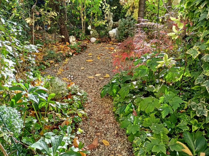  - Grădina 2023 continuare 5