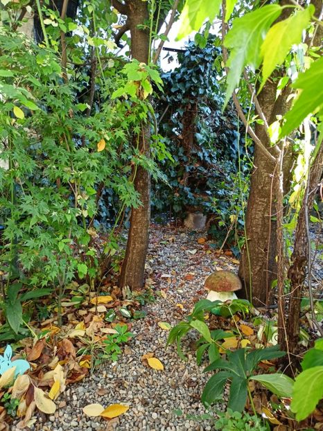  - Grădina 2023 continuare 5