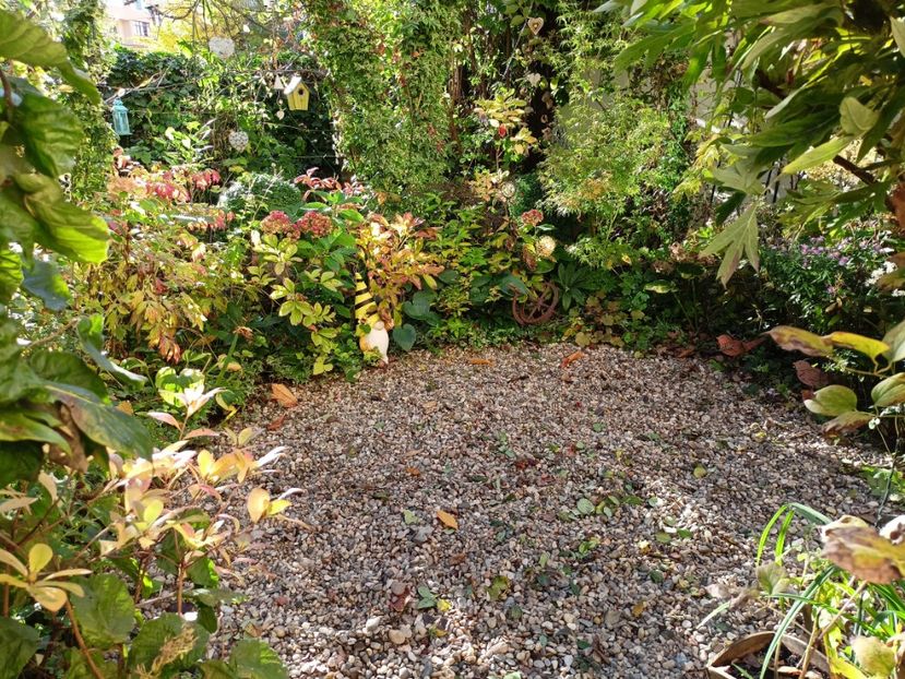  - Grădina 2023 continuare 5