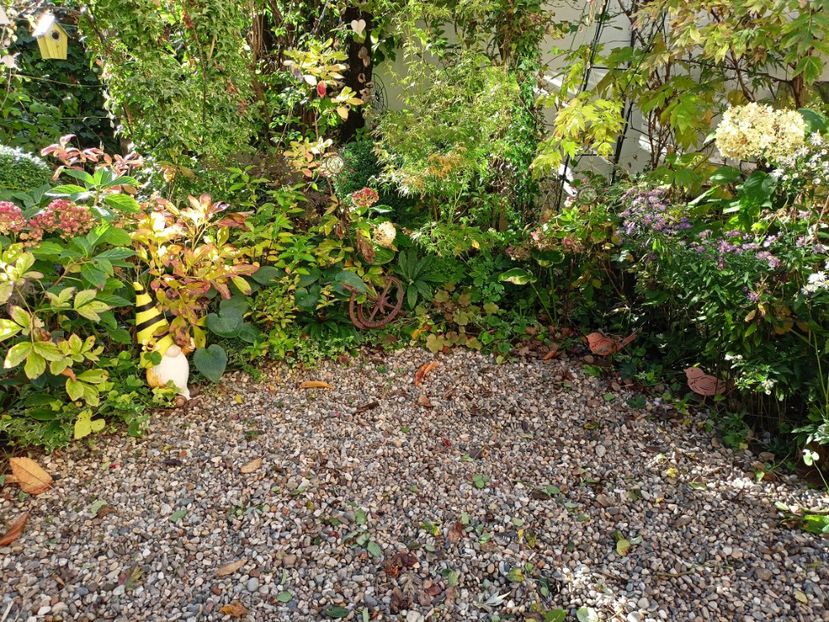  - Grădina 2023 continuare 5