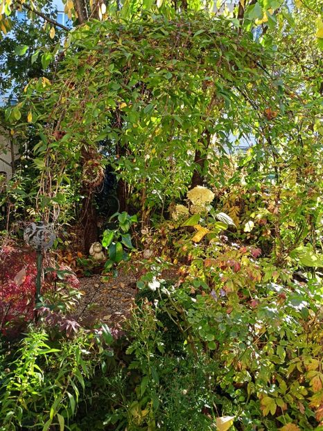  - Grădina 2023 continuare 5