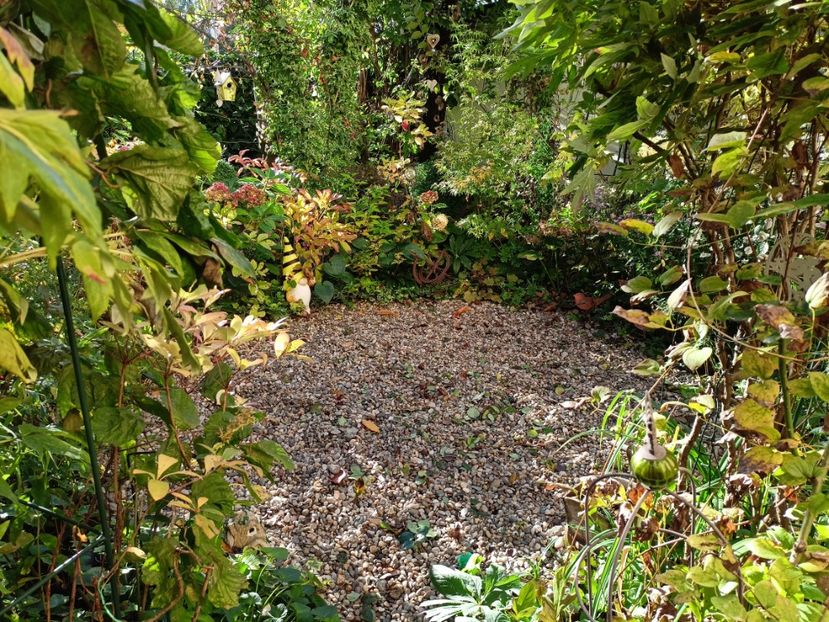  - Grădina 2023 continuare 5